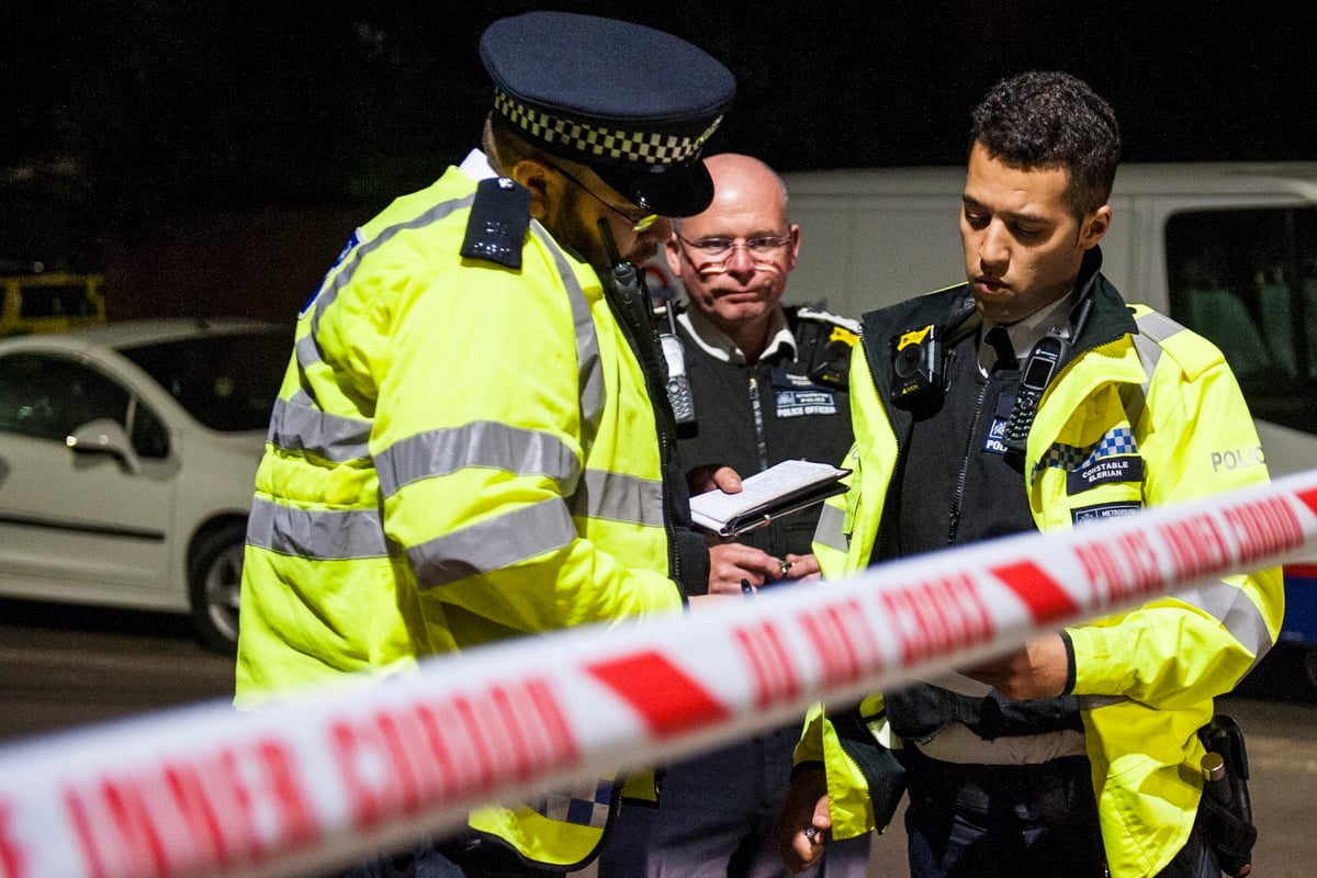 Artificial intelligence 'could save Met £30m and put 545 police on the streets' | London Evening Standard