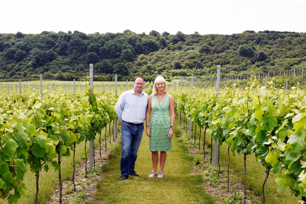 Former hedge fund boss who spent £10m on vineyard toasts sparkling wine success | London Evening Standard