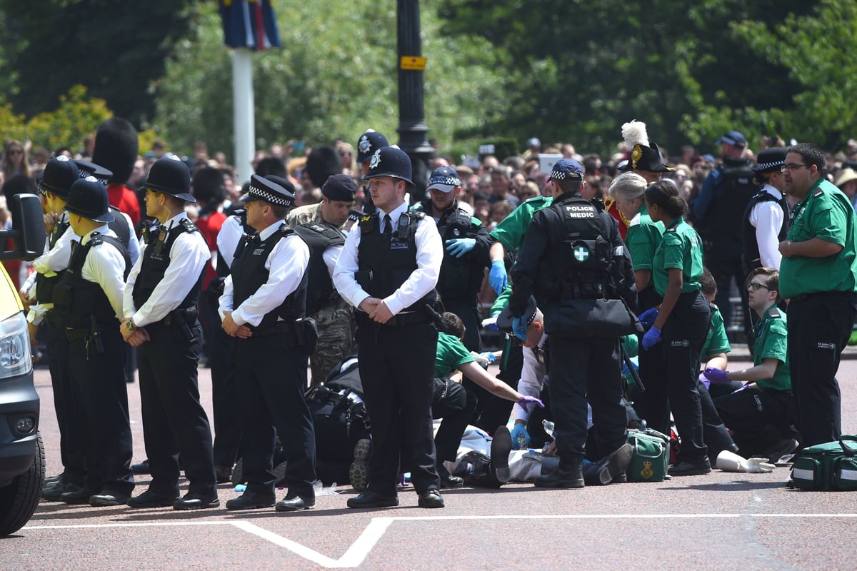 Trooping the Colour 2018: Field Marshall Lord Guthrie, 79, rushed to hospital after being thrown from horse | London Evening Standard