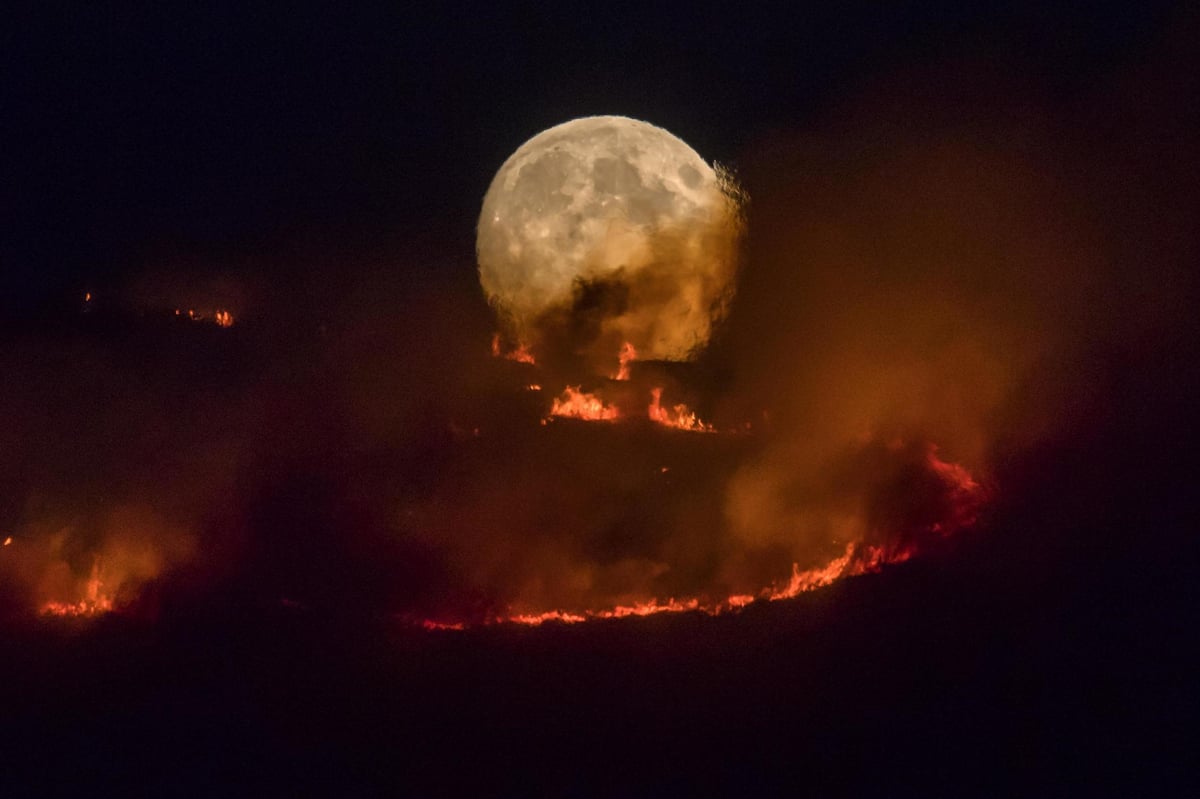 Saddleworth Moor fire: Army called in to help tackle fierce wildfire raging near Manchester | London Evening Standard