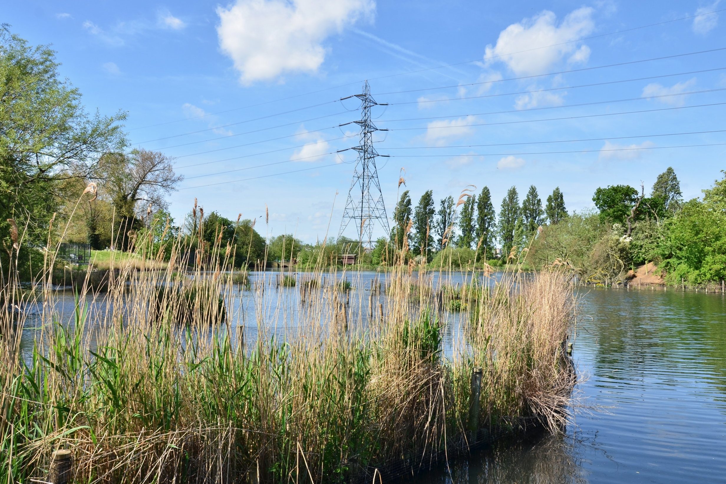 Things to do: Walthamstow Wetlands are now open to the public