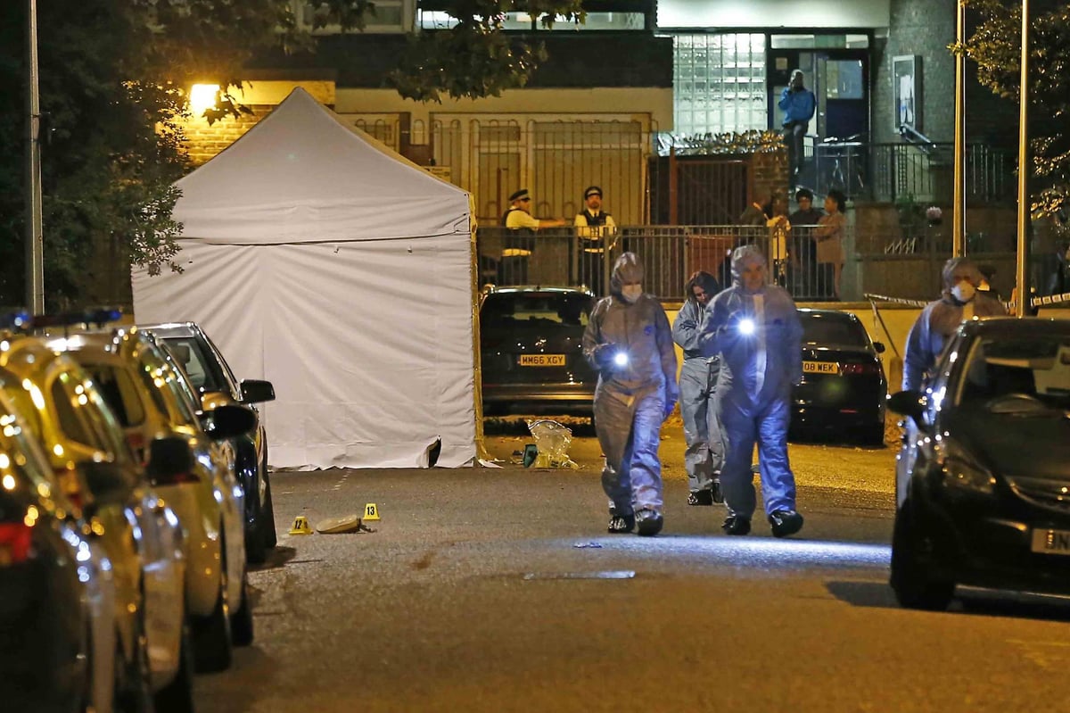 Camberwell stabbings: Man knifed to death and two hospitalised after triple stabbing in south-east London | London Evening Standard