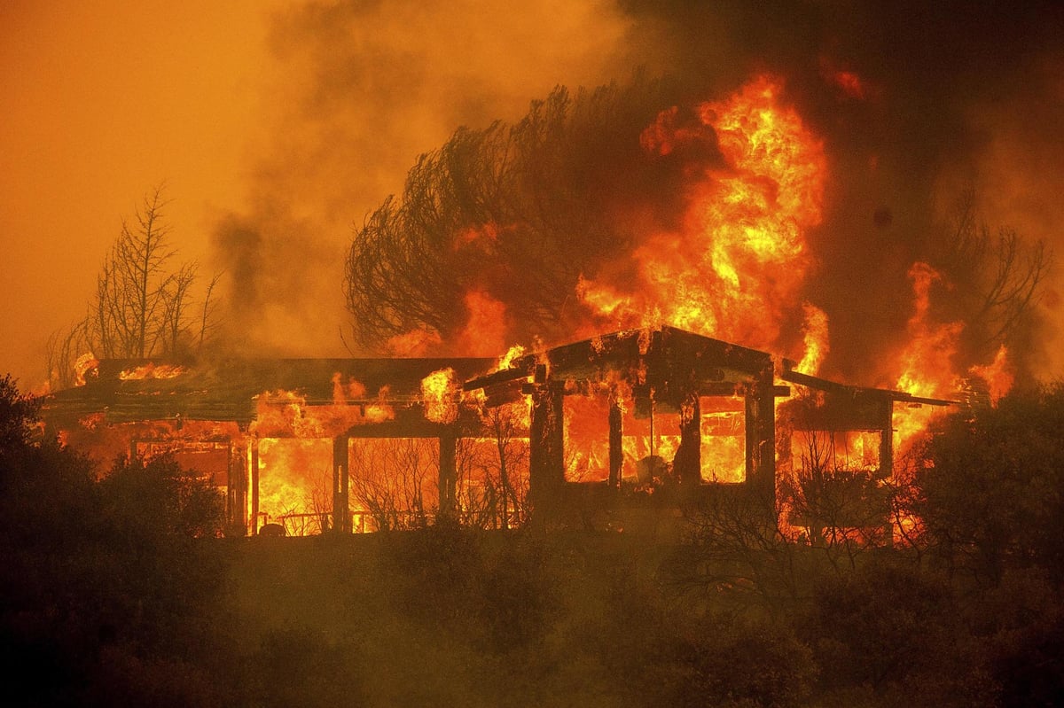California fires 2018: State's largest ever wildfires expected to rage on for the rest of the month, fire officials say | London Evening Standard