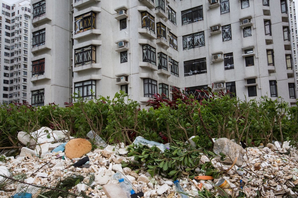 Typhoon Mangkhut: shocking extent of plastic waste in oceans highlighted as masses of litter wash ashore | London Evening Standard