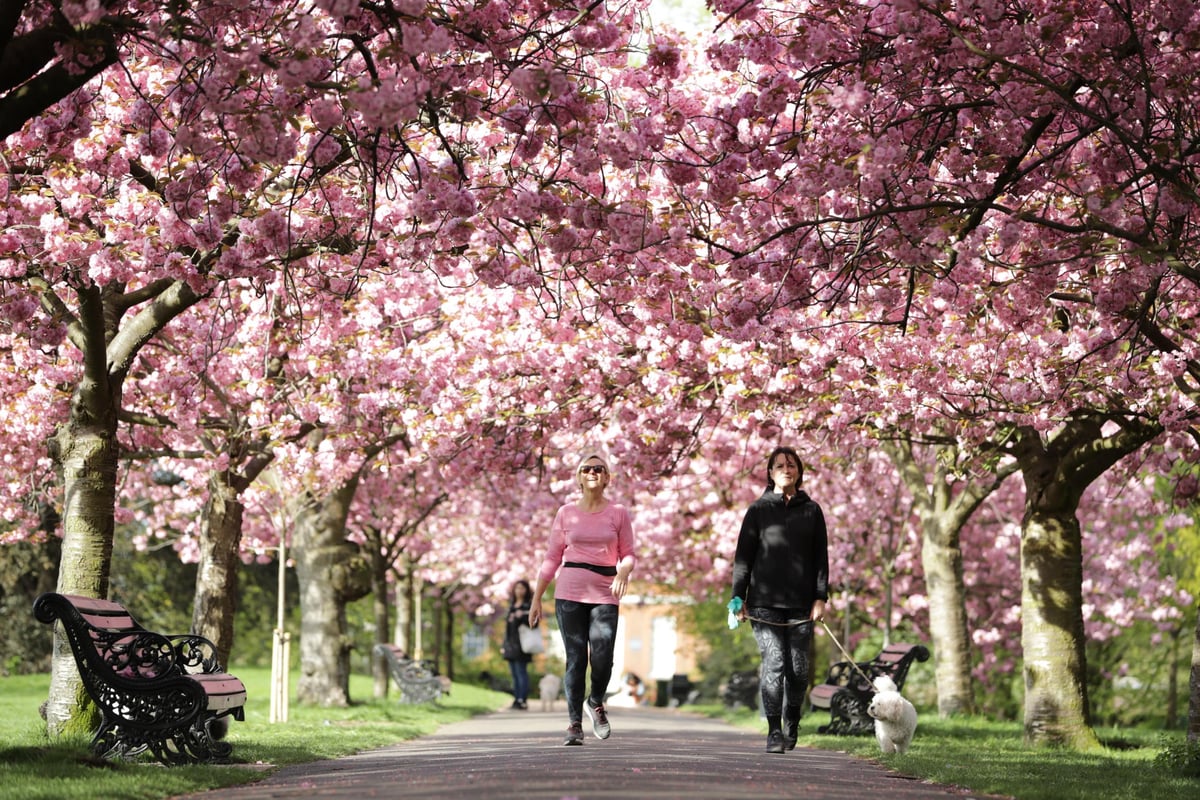 Things to do in Greenwich: Best restaurants, pubs, coffee and more | London Evening Standard