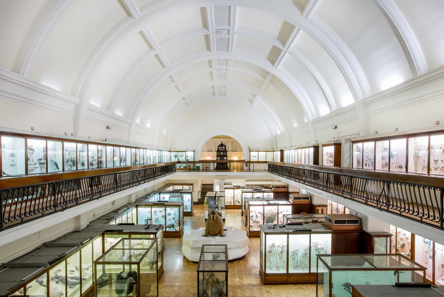 As custodians, our museums are striving to save the planet