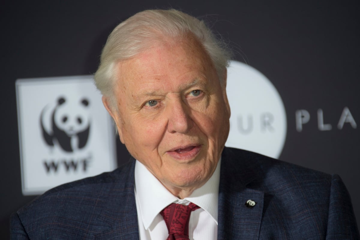 Sir David Attenborough to 'take viewers on spectacular journey' with Netflix documentary Our Planet | London Evening Standard
