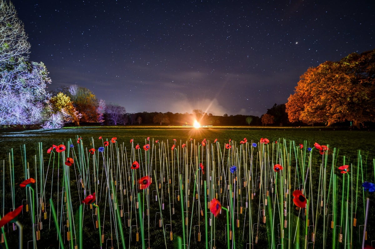 Remembrance Day beacons: Amazing photos show Armistice torches alight across Britain and around the world to mark the centenary | London Evening Standard
