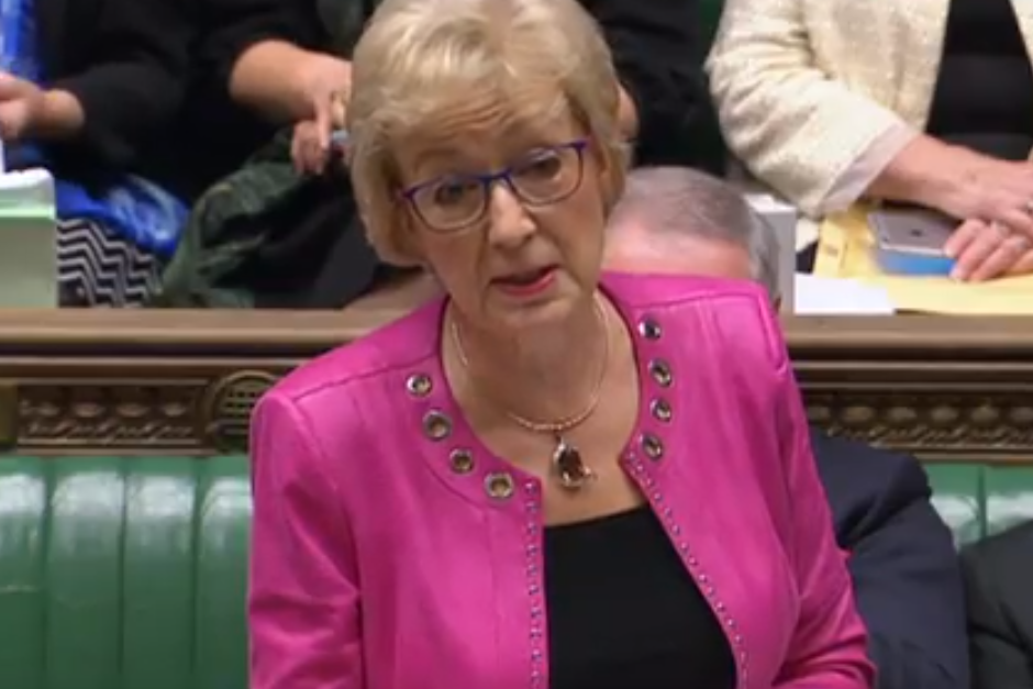 Brexit news latest: MPs cannot stop no-deal if they reject Theresa May's deal, says Andrea Leadsom | London Evening Standard