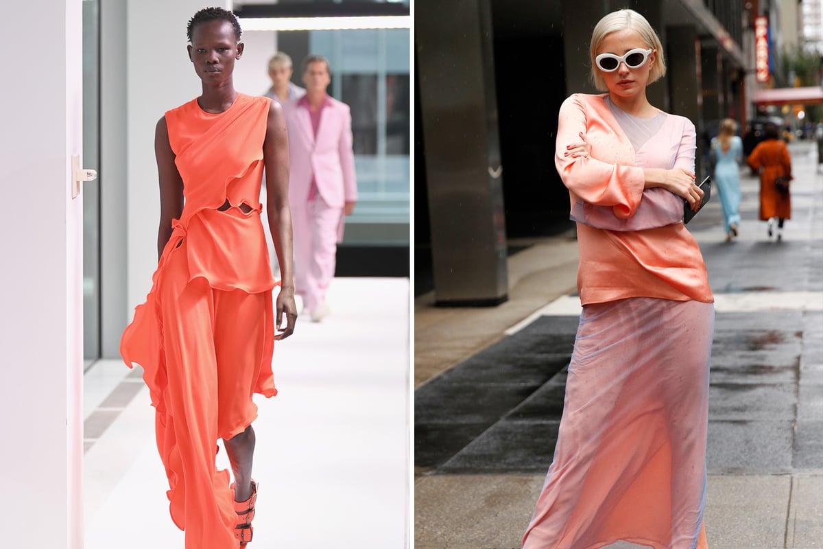 Living Coral is Pantone's colour of the year | London Evening Standard