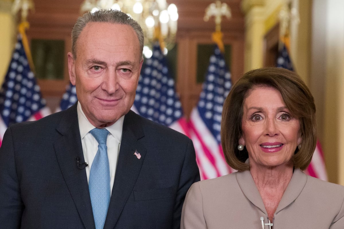 Nancy Pelosi and Chuck Schumer's rebuttal to Donald Trump's address on border wall ridiculed by viewers | London Evening Standard