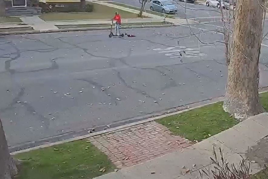 Woman slammed for 'animal cruelty' after dog dragged behind electric scooter | London Evening Standard