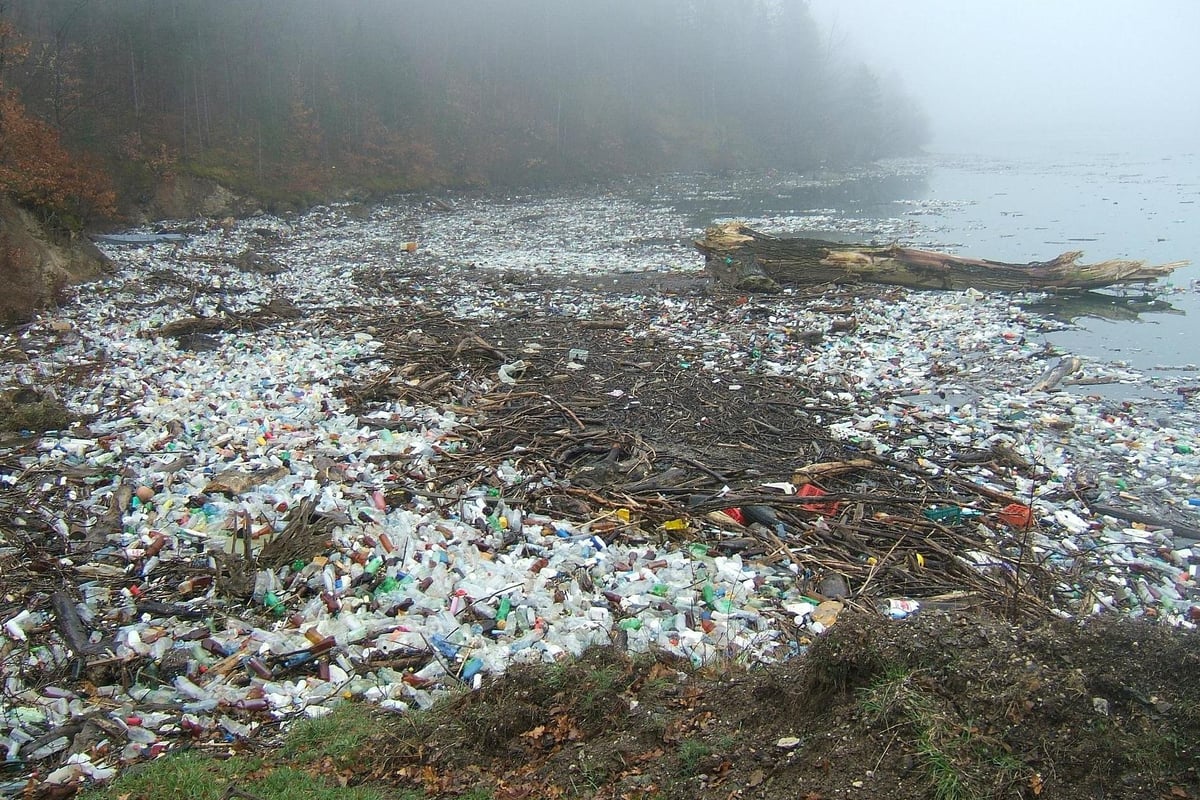 Plastic in water and food: Brits eat a credit card’s worth of microplastics every week according to new study | London Evening Standard