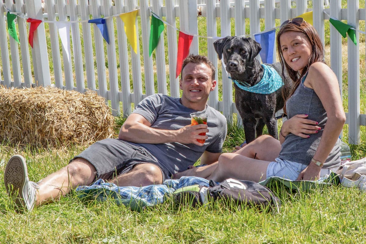 DogFest 2019: Clare Balding and Supervet Noel Fitzpatrick to headline festival | London Evening Standard