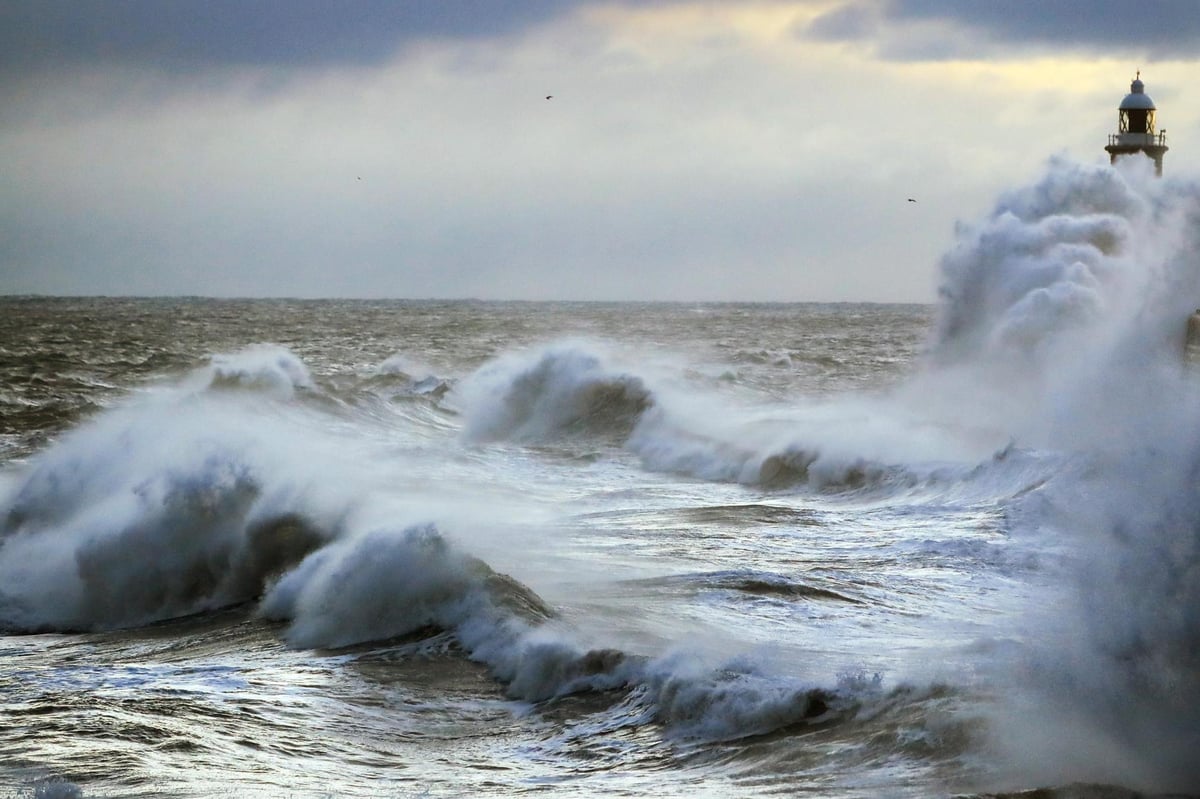 World’s oceans warmer than ever in recorded human history, study finds | London Evening Standard