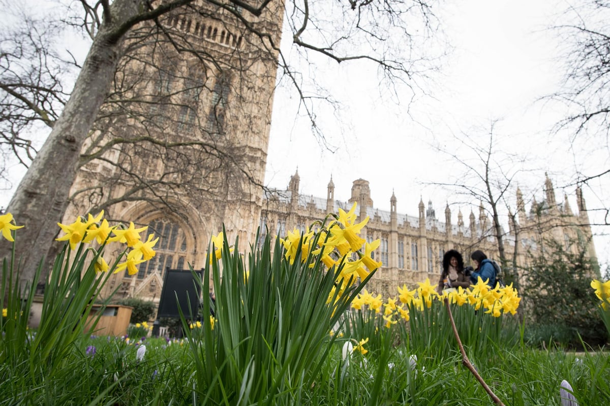St David’s Day in London: Things to do in London to celebrate the Welsh national day | London Evening Standard