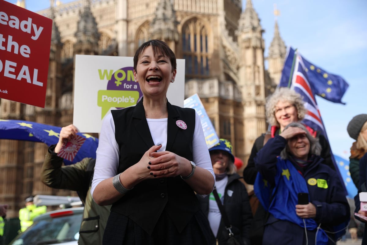 Green MP Caroline Lucas brands Theresa May 'shameless' over Brexit, and says she thinks PM will call second referendum | London Evening Standard
