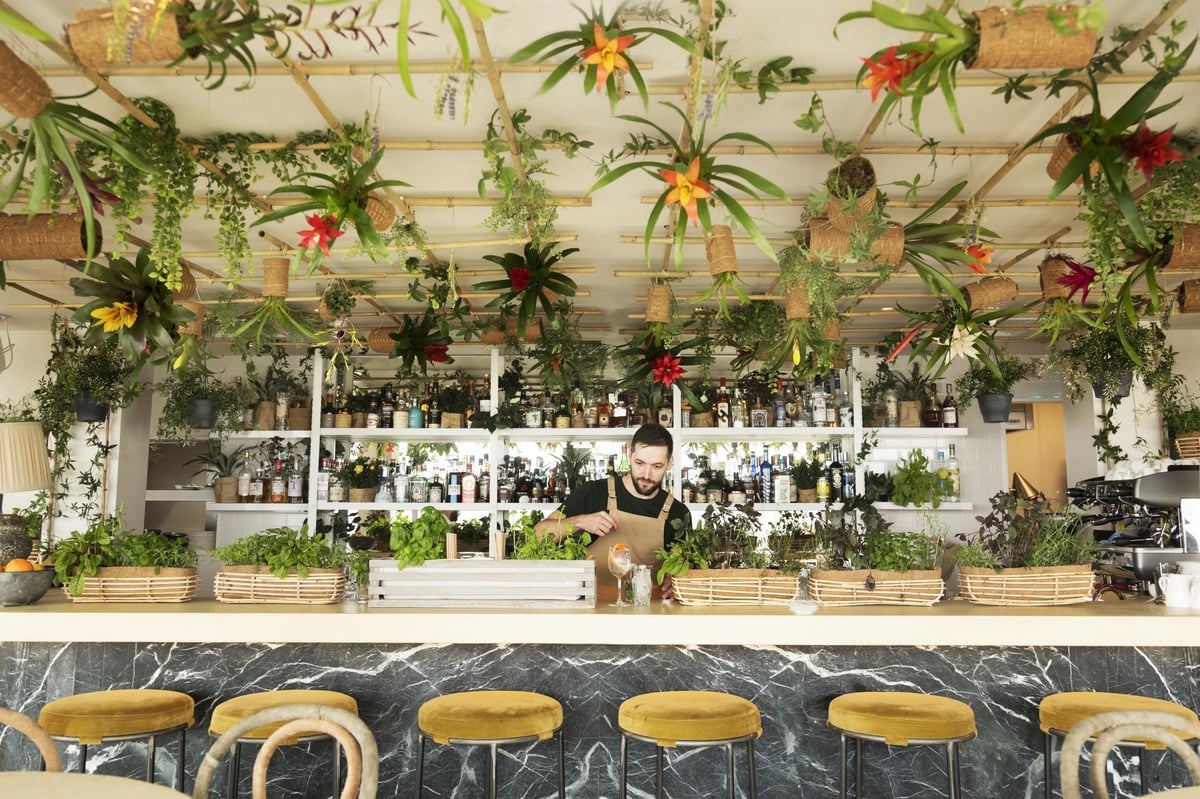 B&H Garden Room: First look at London’s first 'living bar' where guests can pick cocktail garnishes | London Evening Standard