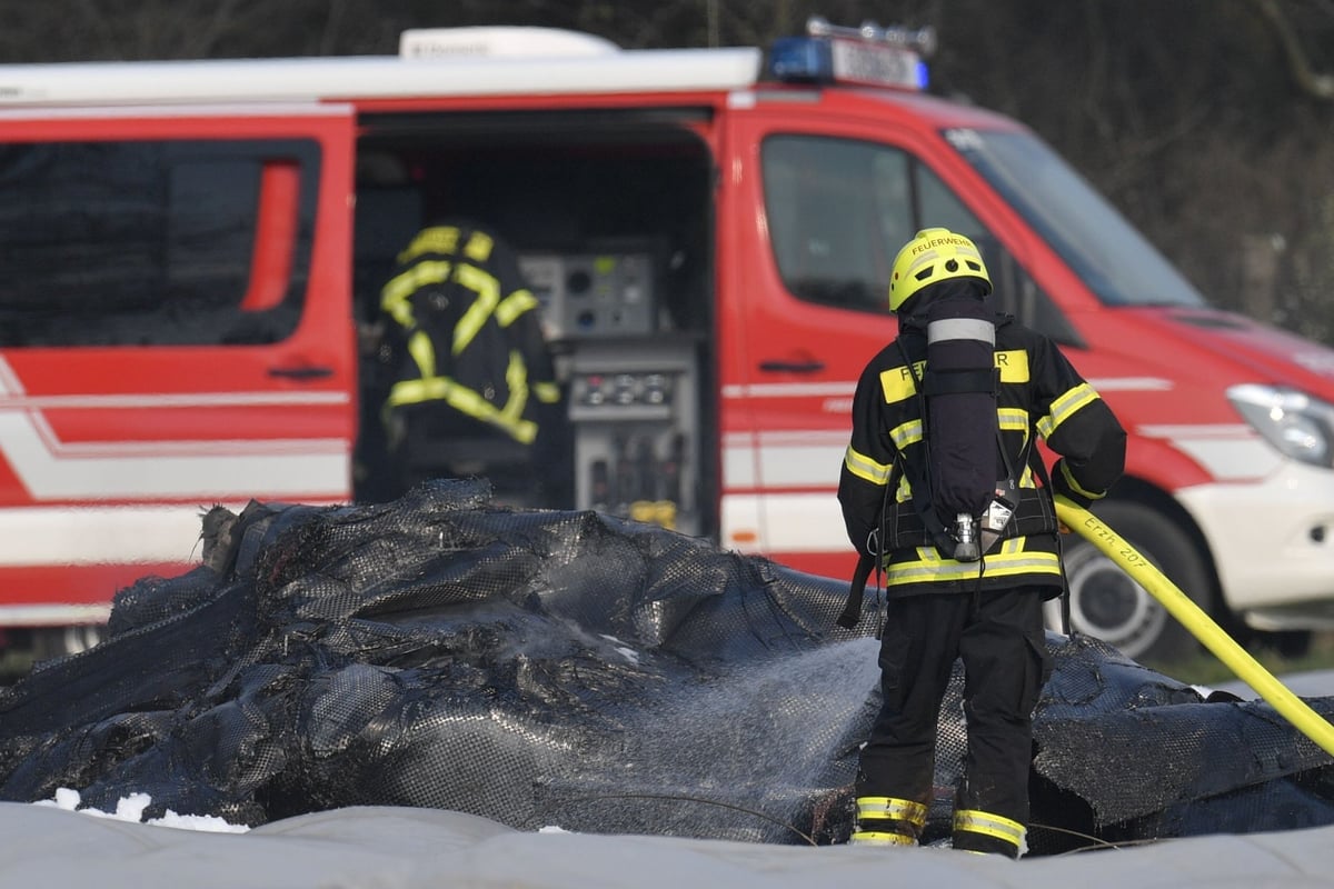 Natalia Fileva death: One of Russia's richest women killed as private jet crashes in Germany | London Evening Standard