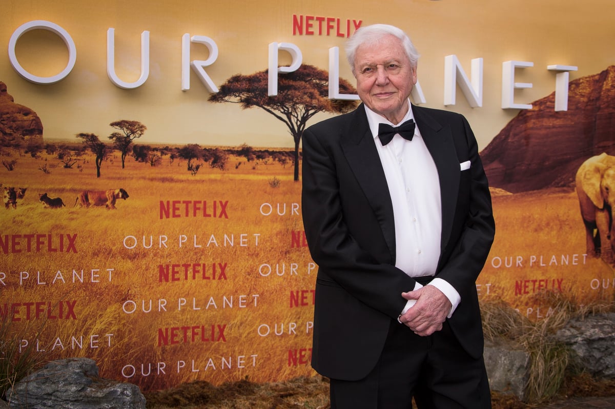 Sir David Attenborough tops Netflix's most-watched programmes | London Evening Standard