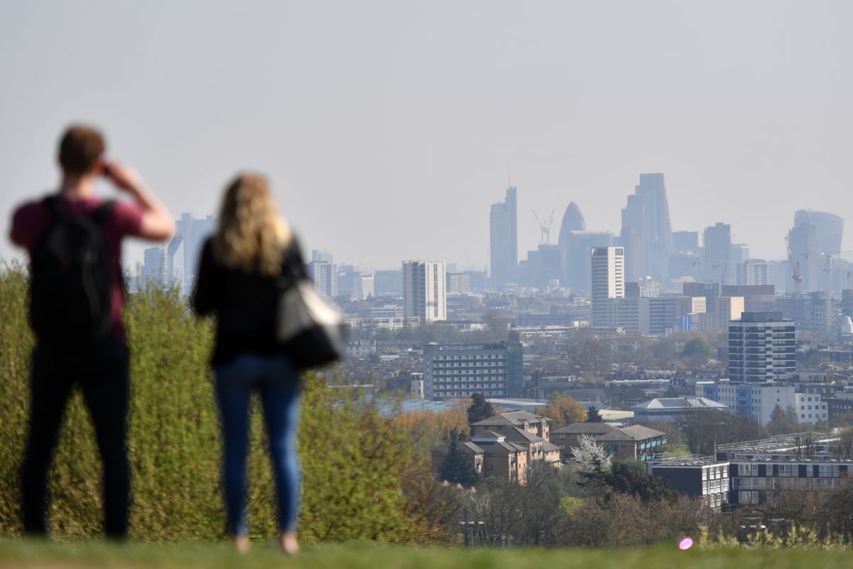 Things to do in Hampstead: The best restaurants, pubs and more | London Evening Standard