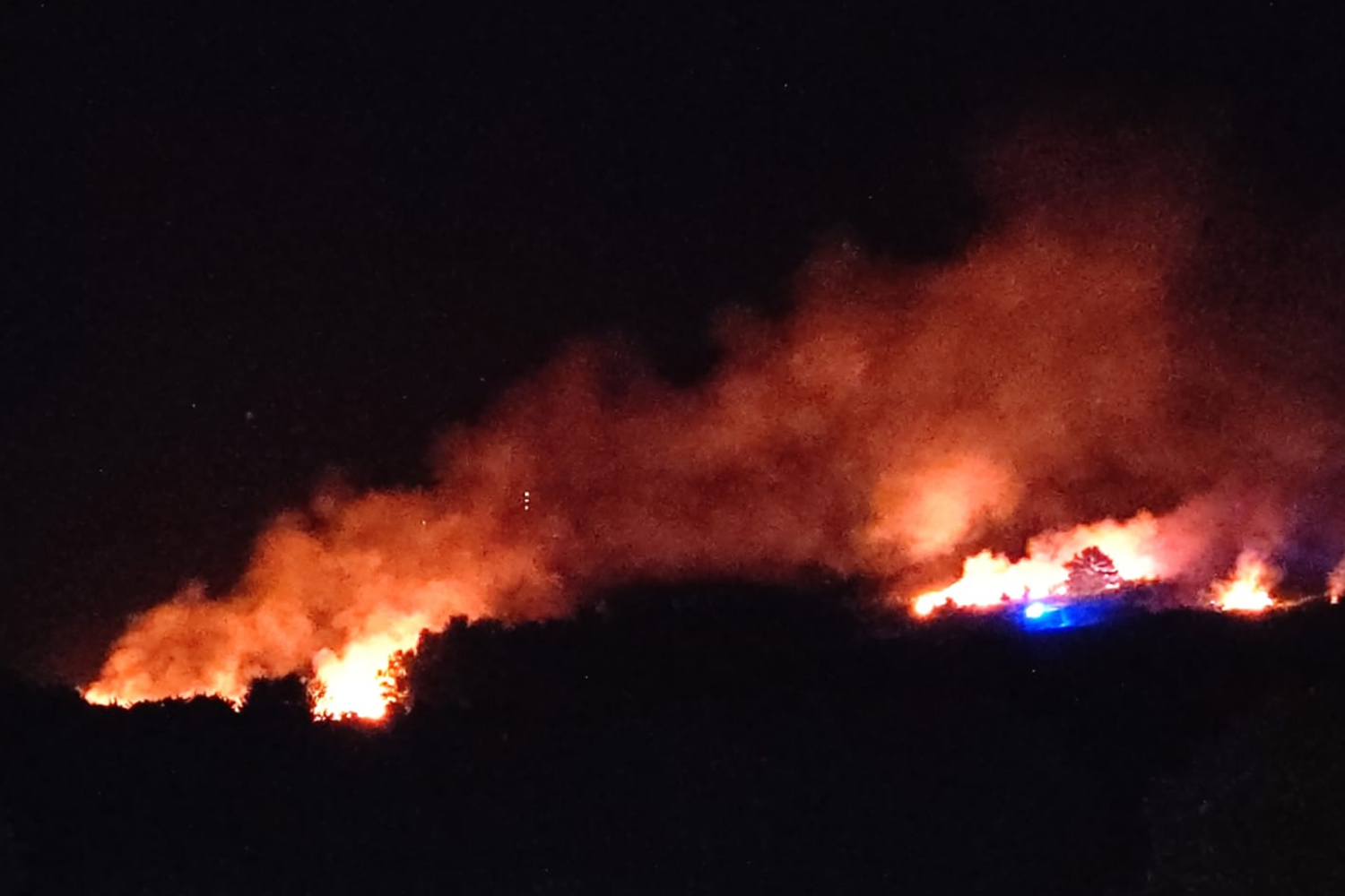 Huge blaze breaks out at 'Winnie the Pooh wood'