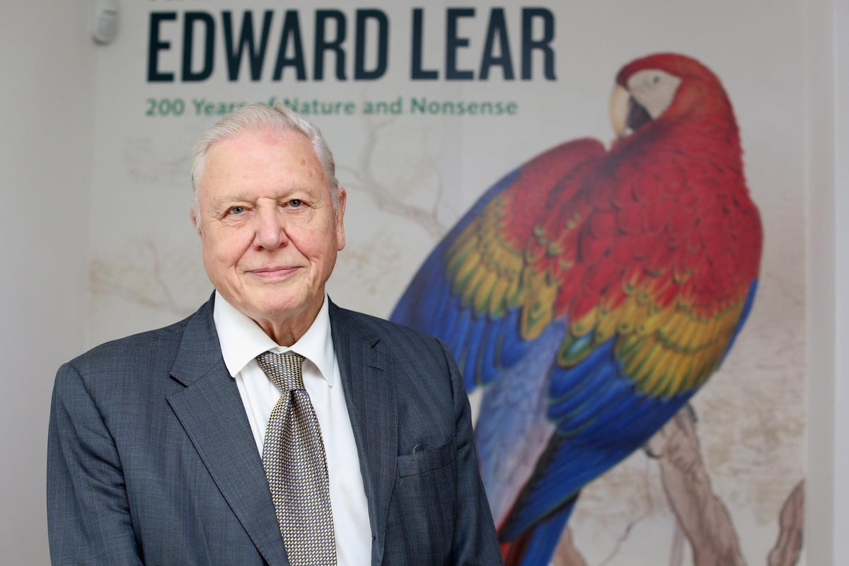 Sir David Attenborough: Facts, age and quotes on plastic pollution from the climate change pioneer and legendary broadcaster | London Evening Standard