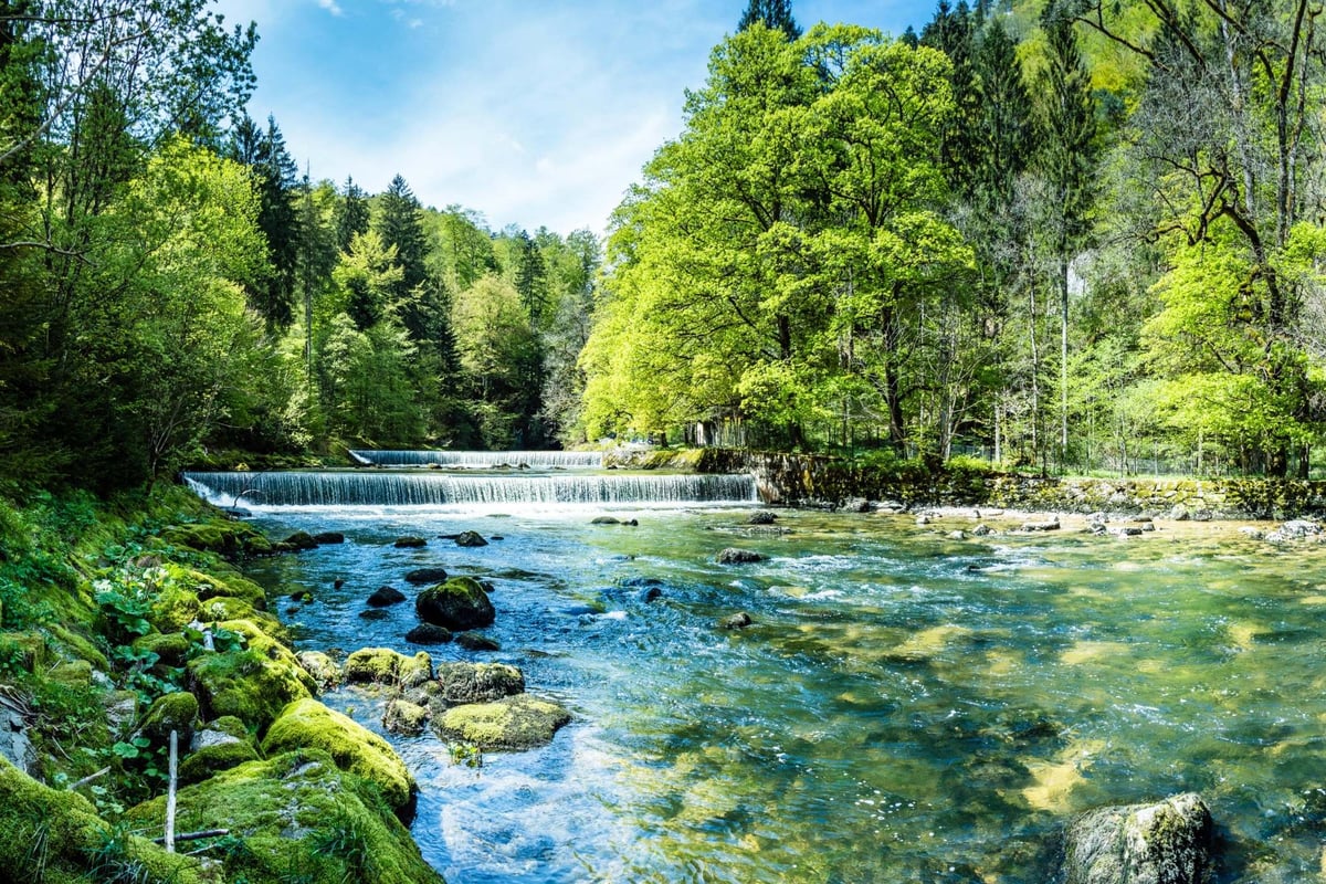 How to follow the Absinthe Trail in Switzerland's Jura Mountains | London Evening Standard