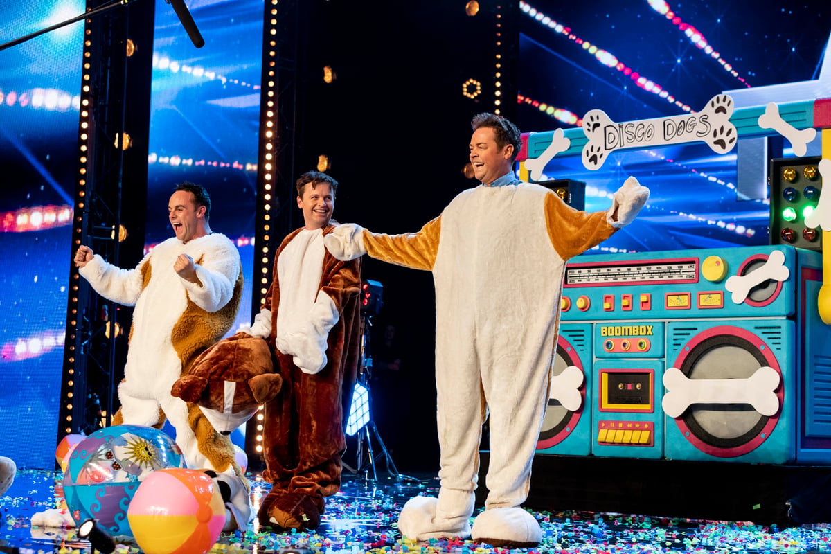 Britain's Got Talent 2019: Five must-see auditions from 'Theresa May' to Ant and Dec's dancing dogs | London Evening Standard