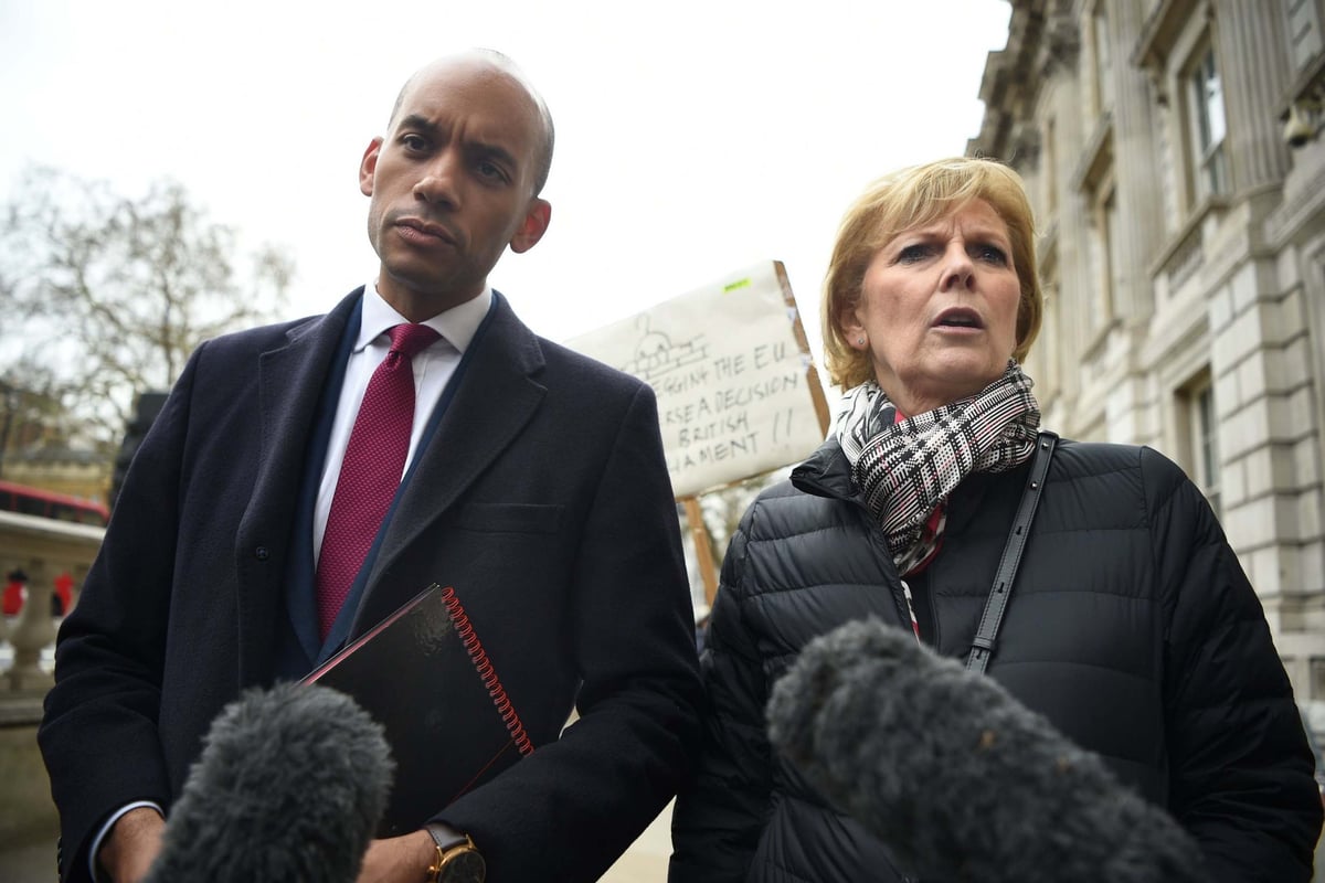 Chuka Umunna made 'serious mistake' in quitting Change UK, says party's new leader Anna Soubry | London Evening Standard