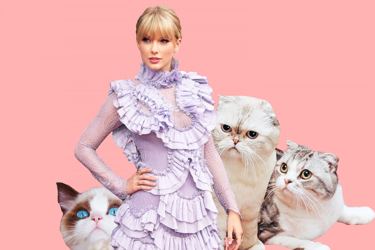 Taylor Swift cats’ names: How many cats does T Swift have? What breed are they? What is her new kitten called? | London Evening Standard
