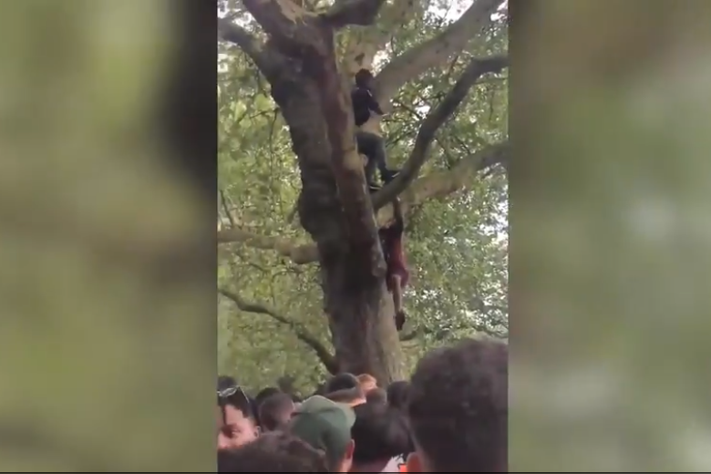 Wireless festival 2019: Fans raise overcrowding concerns after chaotic scenes at D-Block Europe set | London Evening Standard