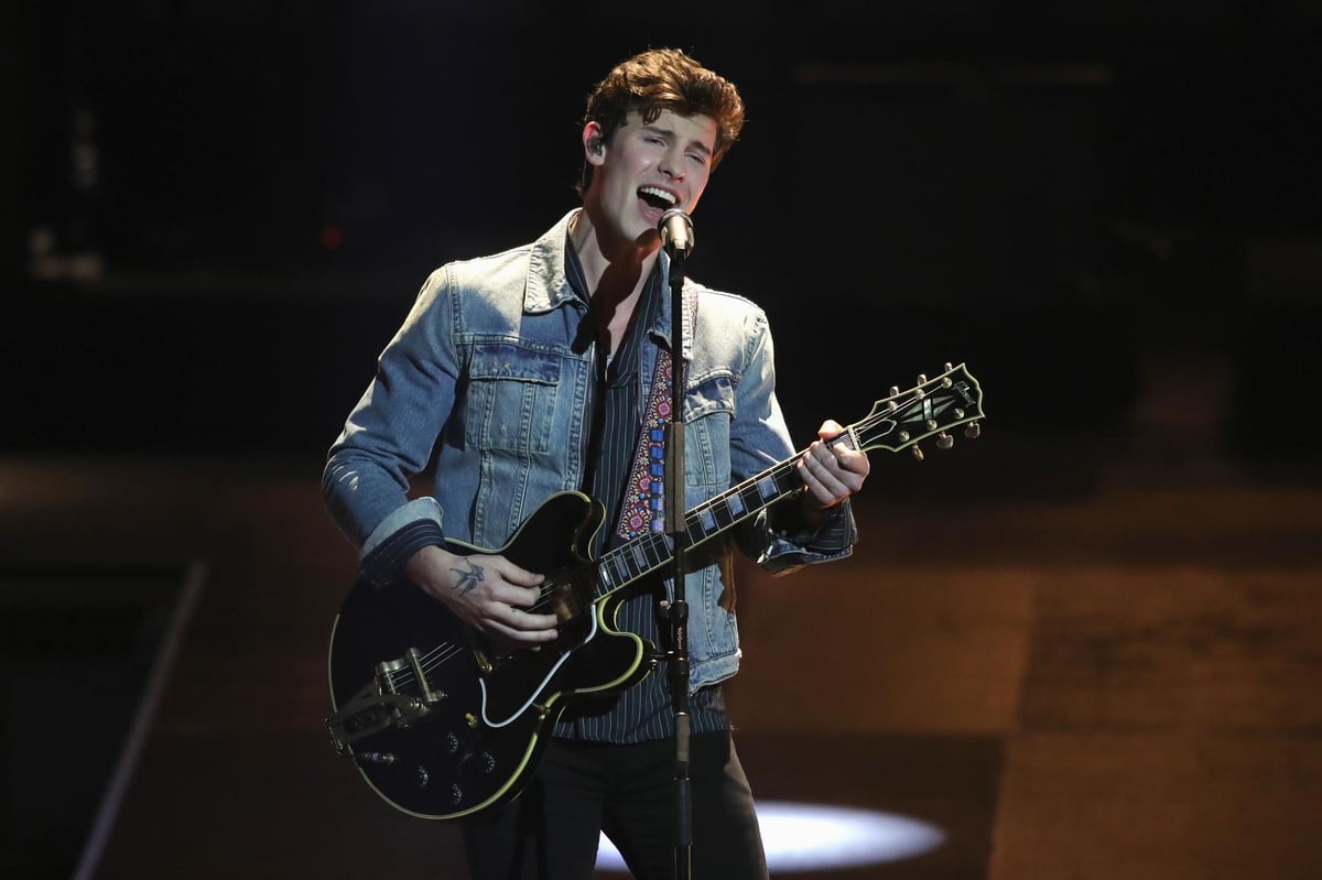 Shawn Mendes got a bicep butterfly tattoo after a fan's Photoshop suggestion | London Evening Standard