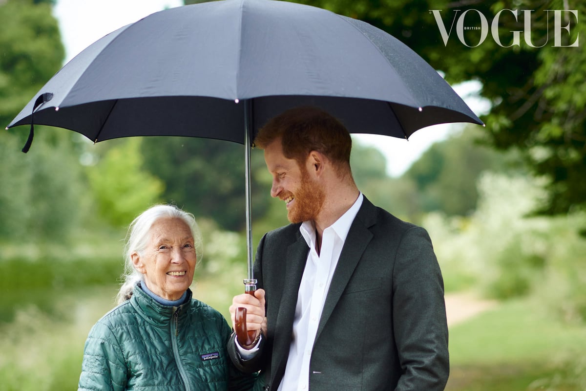 Prince Harry says he and Meghan will have 'two children maximum' to protect the planet in Vogue interview | London Evening Standard