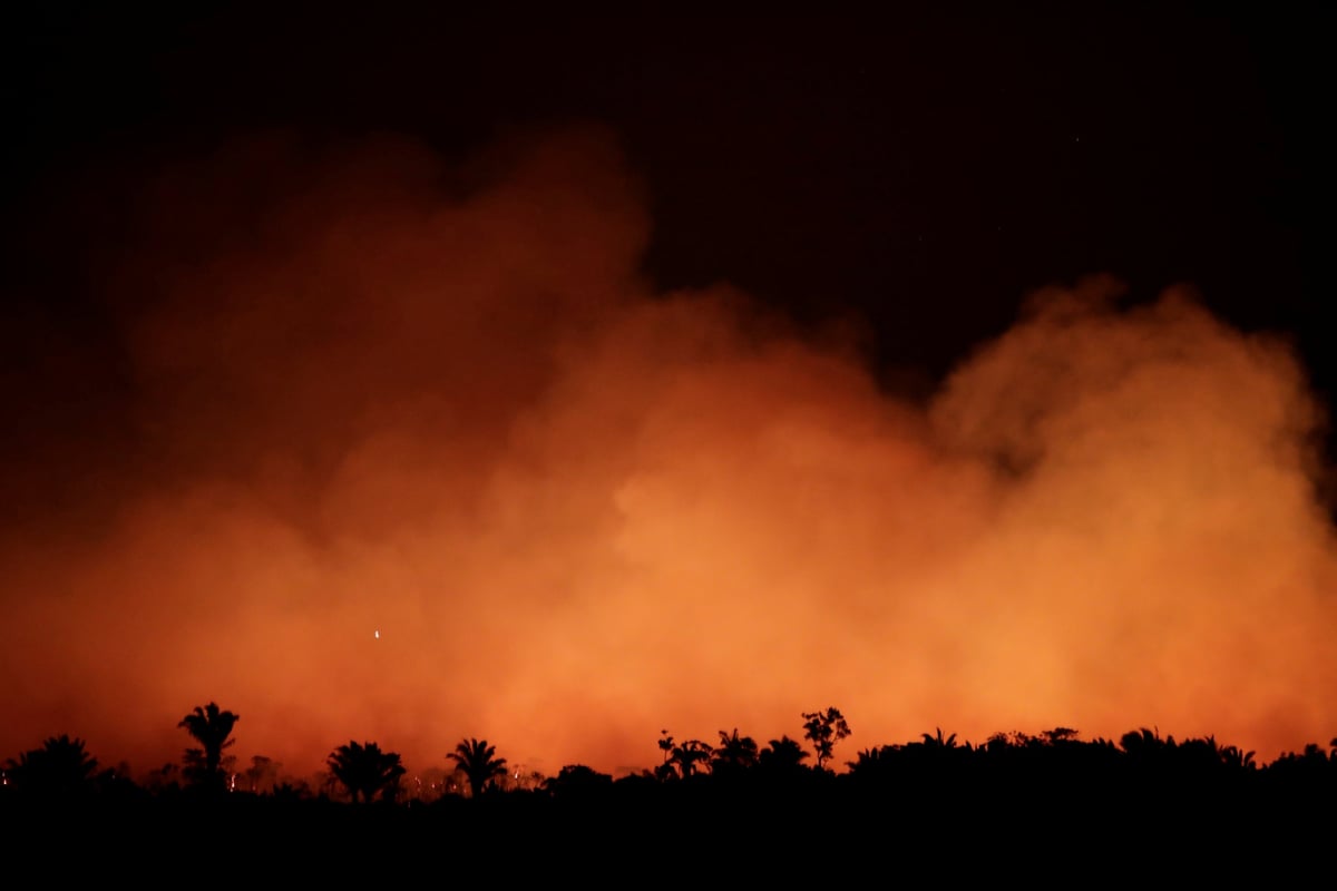 Amazon rainforest fire 2019: What caused the wildfires? How have world leaders responded? | London Evening Standard