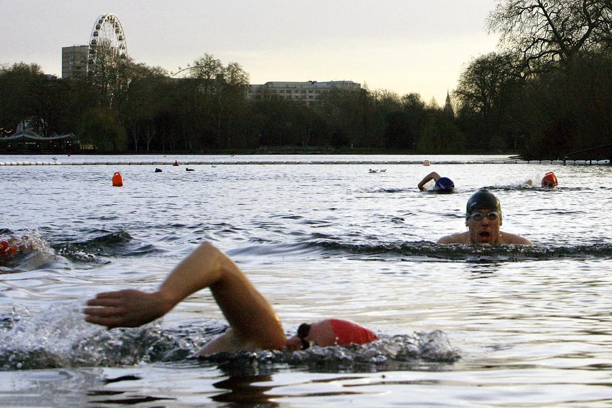 Why wild swimming in the Serpentine is the ultimate London experience | London Evening Standard