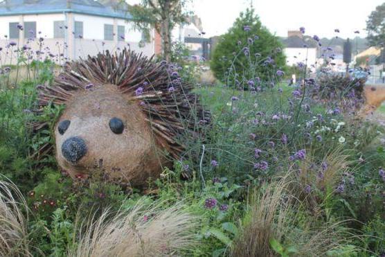 ‘Quirky’ hedgehog road feature named best roundabout in the UK | London Evening Standard