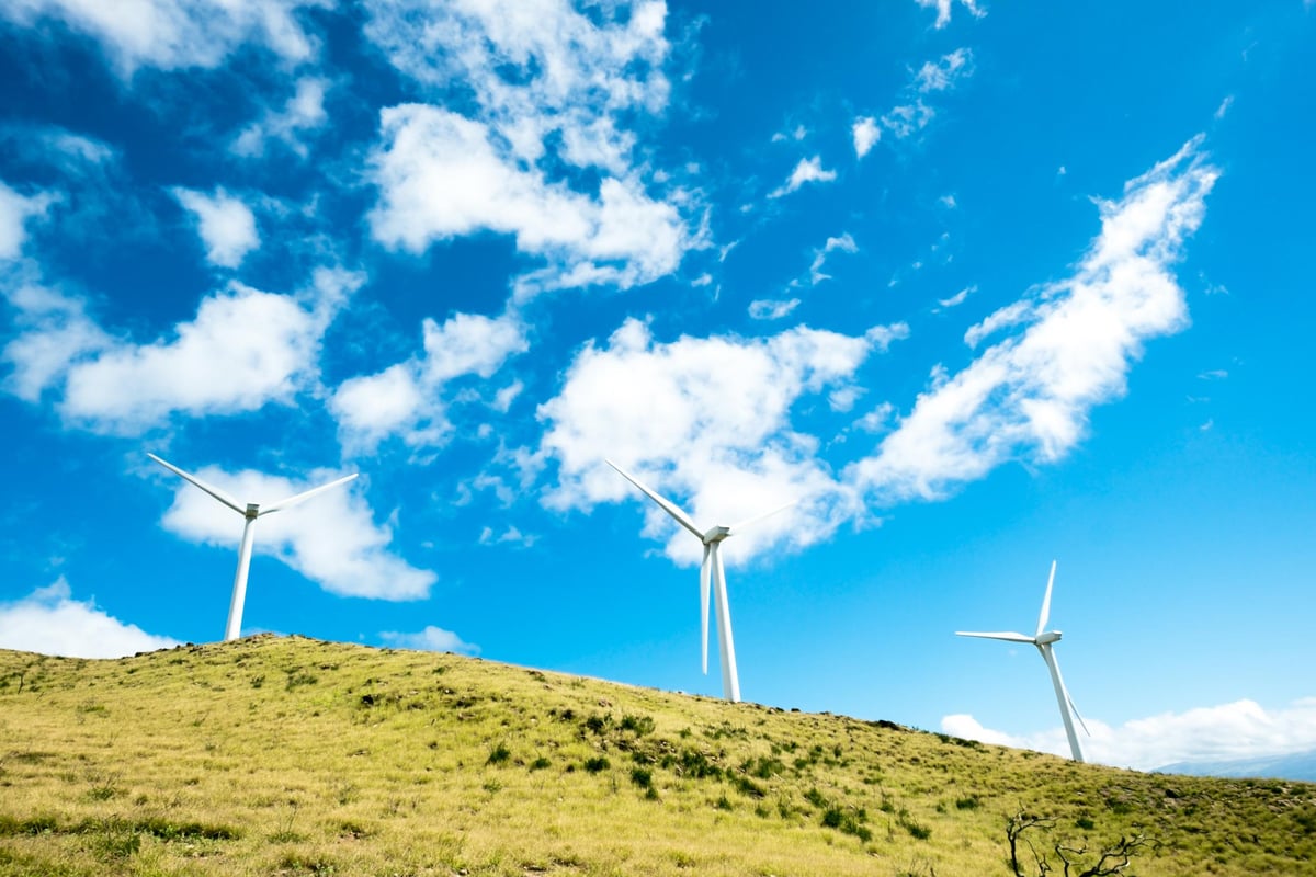 Siemens partners with UK100 to free up more than £100bn of clean energy initiatives | London Evening Standard