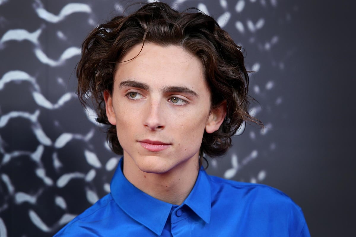 Timothée Chalamet to make London stage debut at the Old Vic alongside Dame Eileen Atkins | London Evening Standard