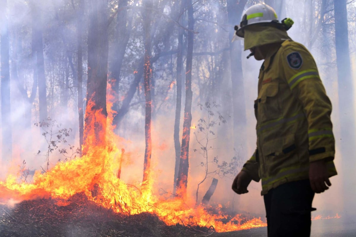 Australia bush fires: Teenage firefighter charged with deliberately starting blazes | London Evening Standard