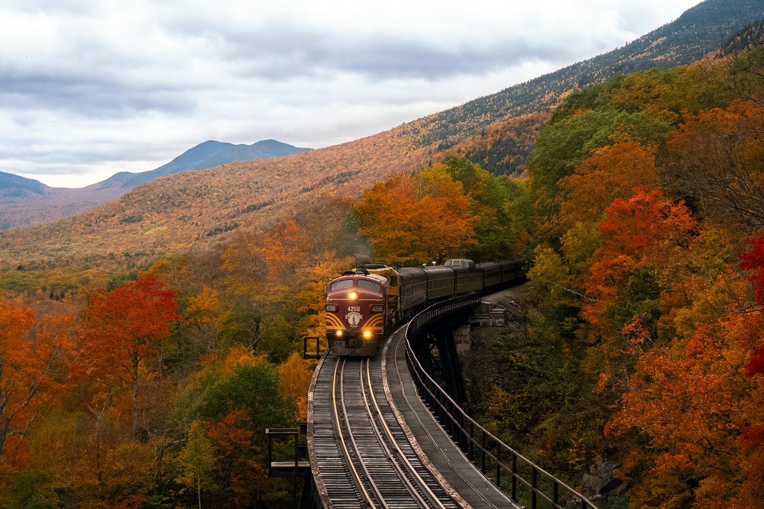 Eco travel will be the biggest trend of 2020