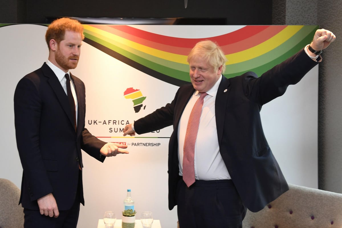 Prince Harry arrives for UK-Africa summit in what could be final royal engagement before heading back to Meghan in Canada | London Evening Standard