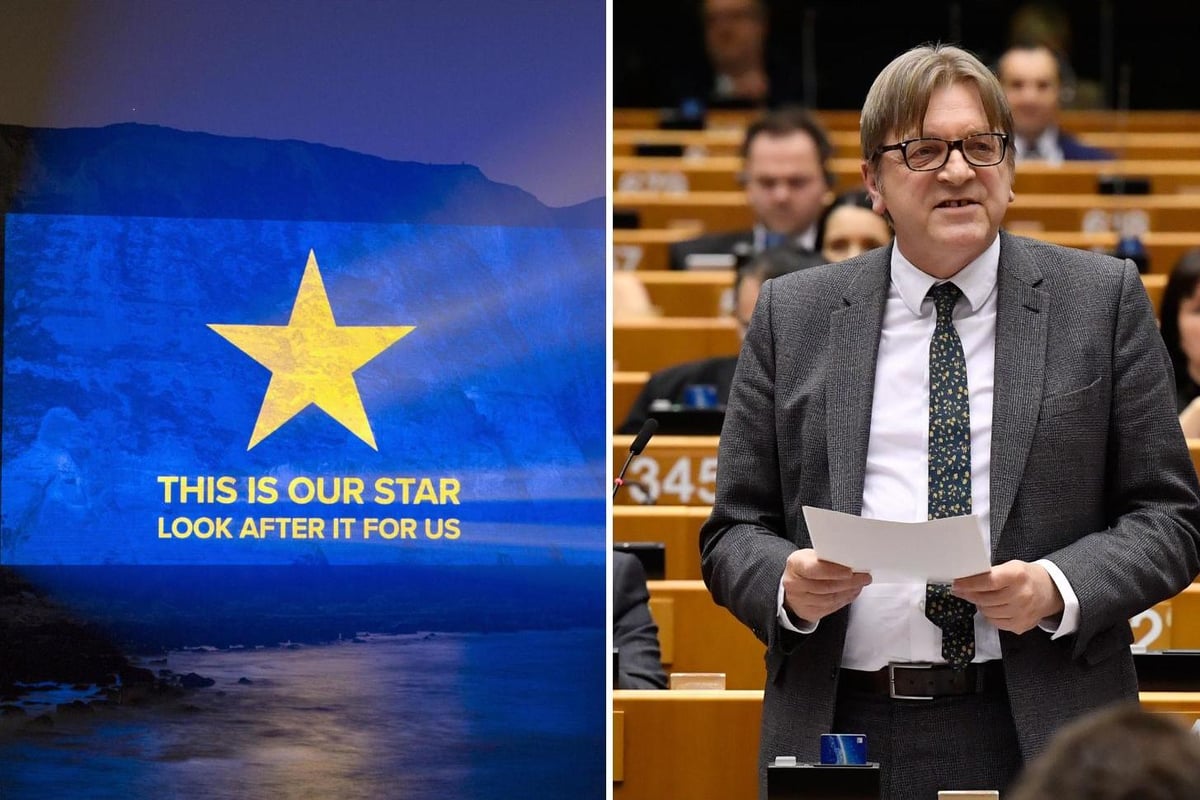 'We'll look after your star': EU chief responds to veterans' love letter to EU projected on to White Cliffs of Dover | London Evening Standard