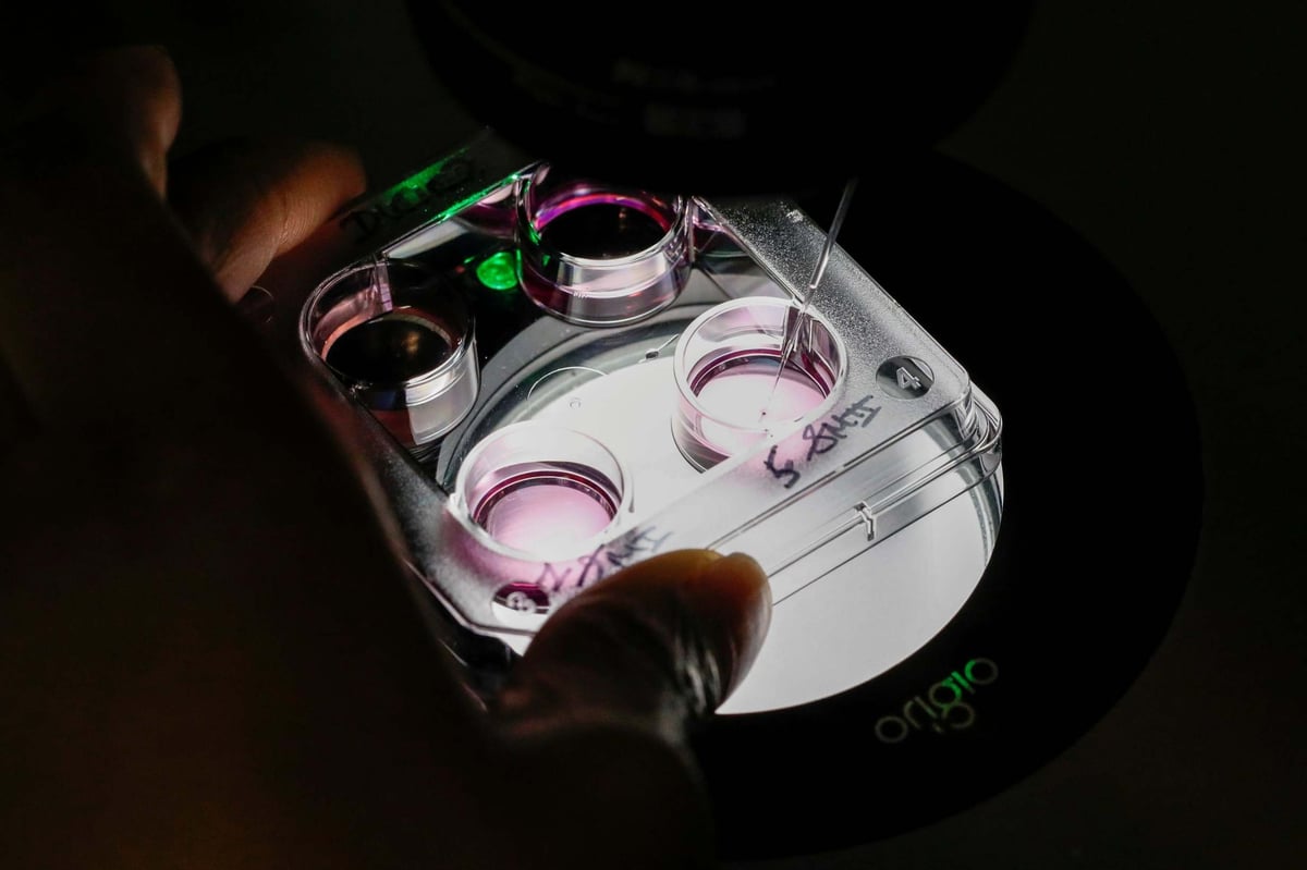 Only quarter of London IVF treatments funded by NHS, new figures reveal, as UK numbers drop by more than 1,700 | London Evening Standard