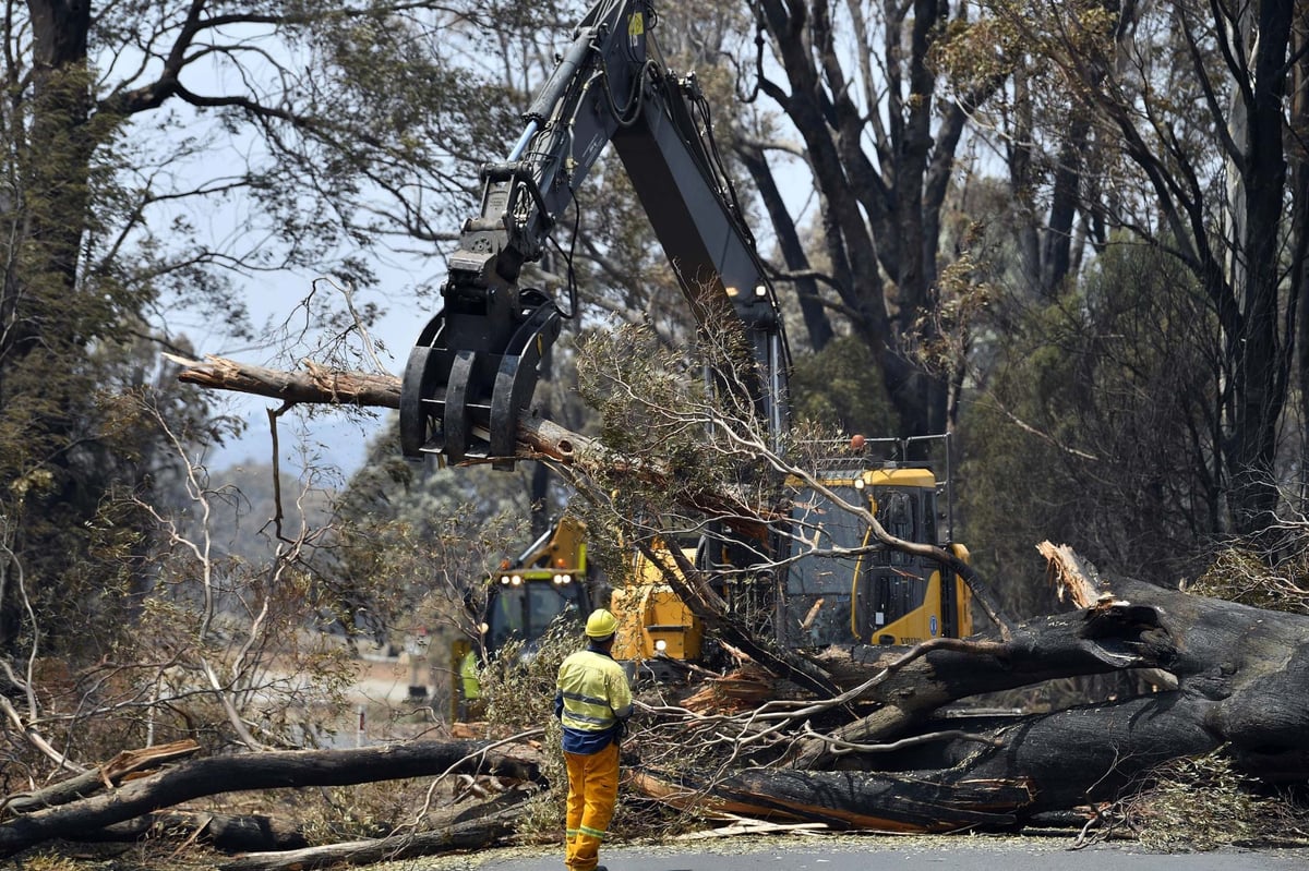 British backpackers can extend stay in Australia with volunteer work in fire-ravaged communities | London Evening Standard
