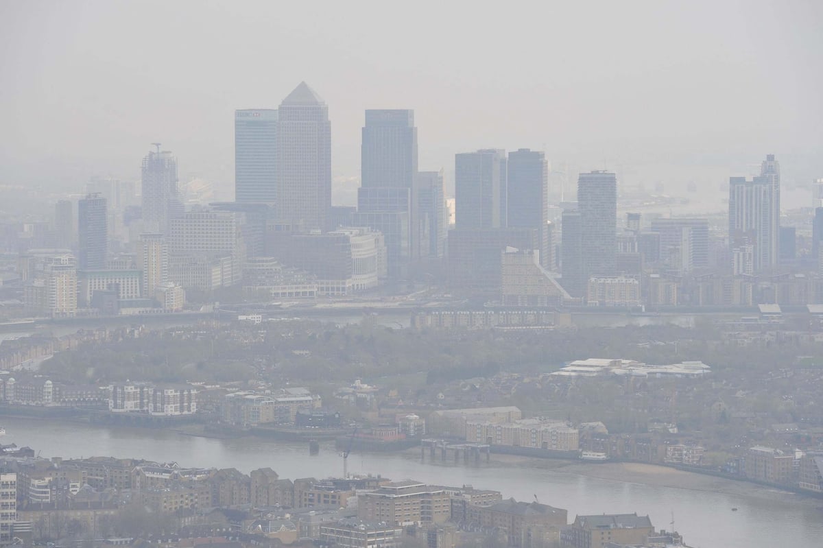 ‘Significant link’ between air pollution and neurological disorders, says study | London Evening Standard