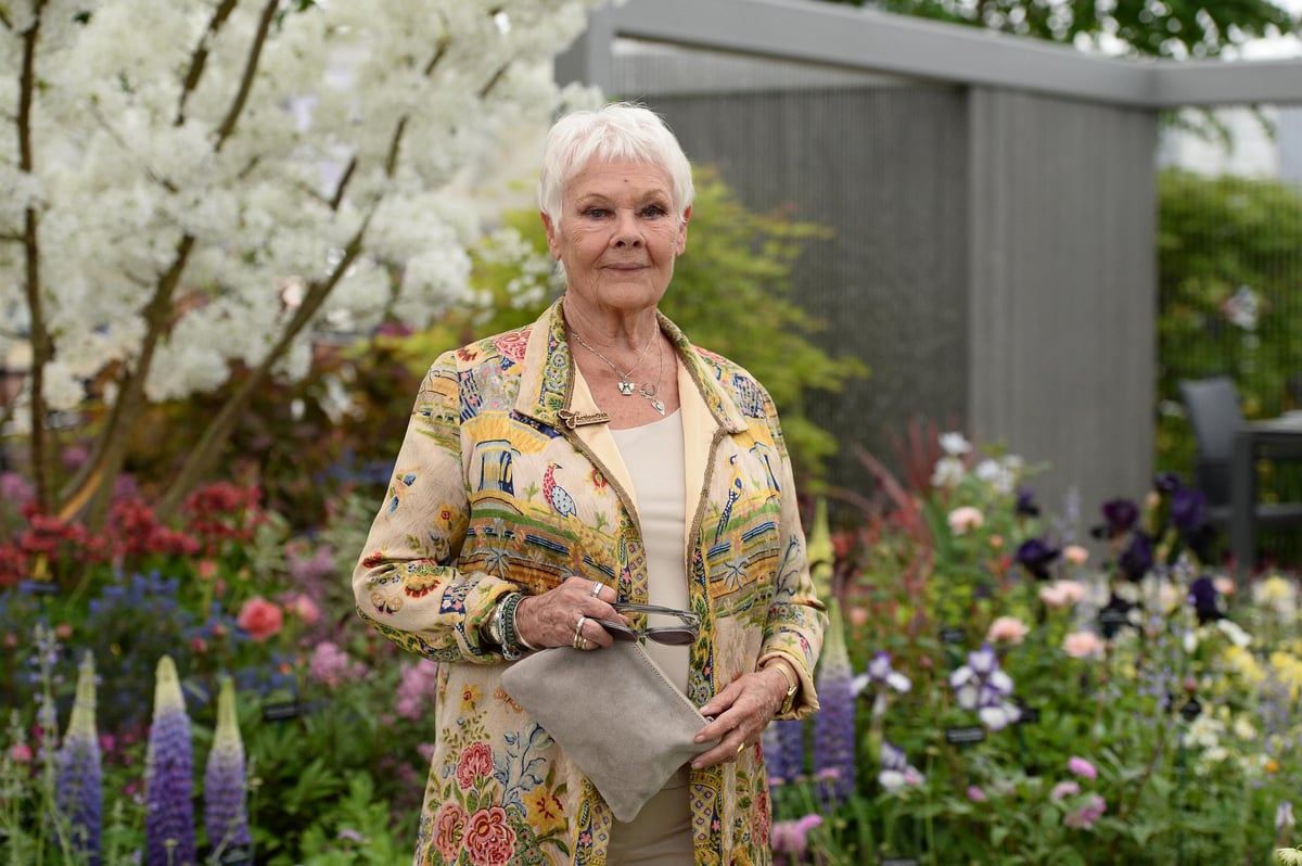 Judi Dench recounts stories of working with John Gielgud and Johnny Depp in video to raise funds for Orange Tree Theatre | London Evening Standard