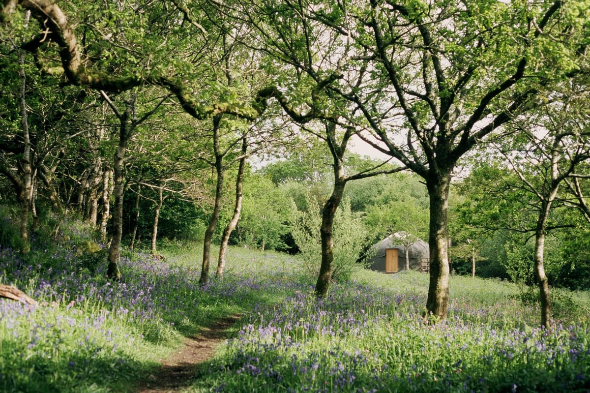 10 remote glamping sites in the UK | London Evening Standard