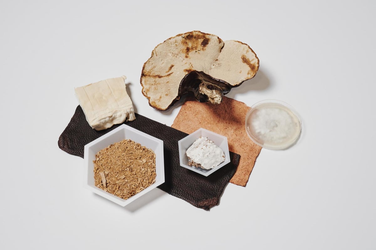 Bolt Threads: the silicon valley start-up making sustainable fabric from spiders and mushrooms | London Evening Standard