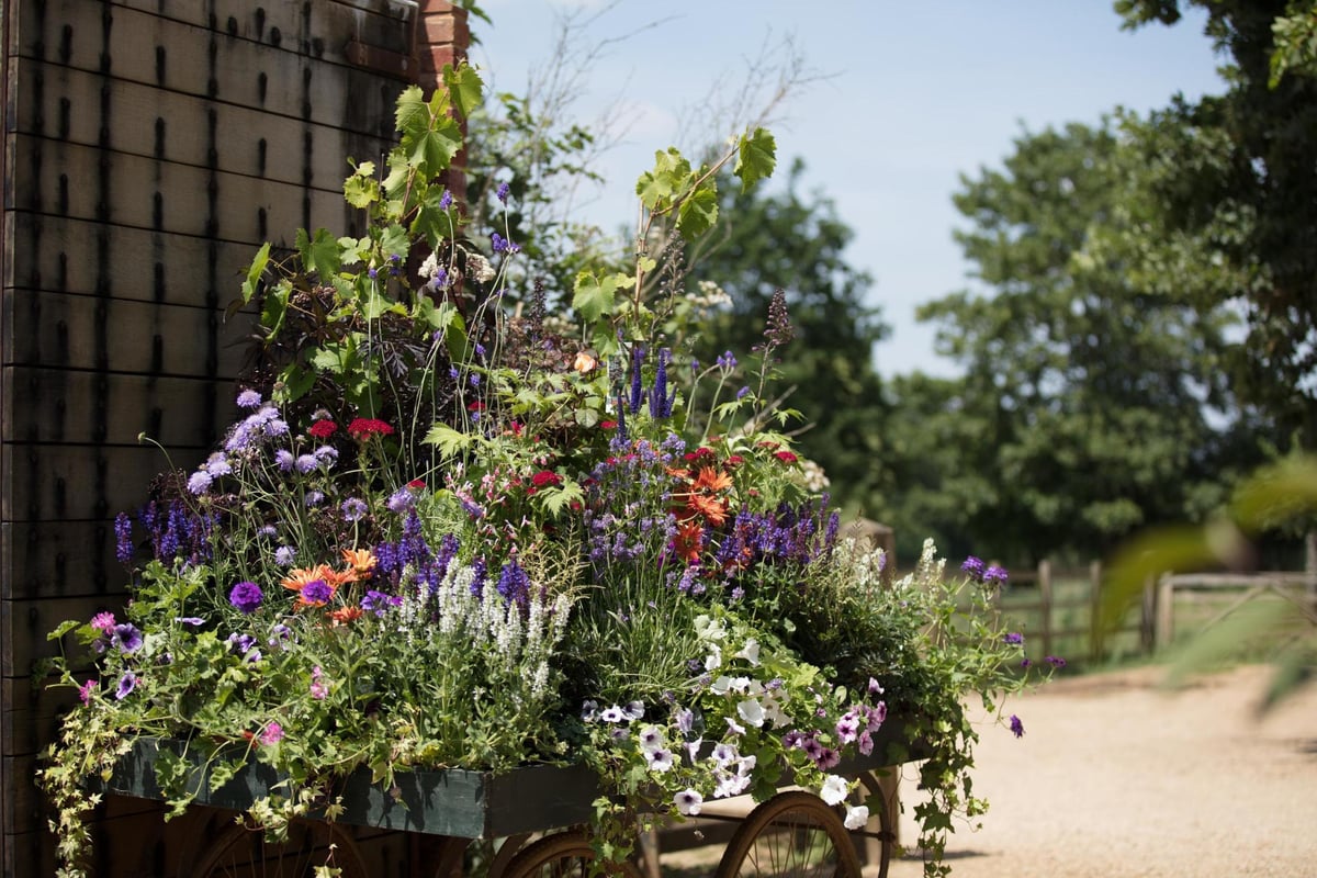 How to create the perfect herb garden at home | London Evening Standard